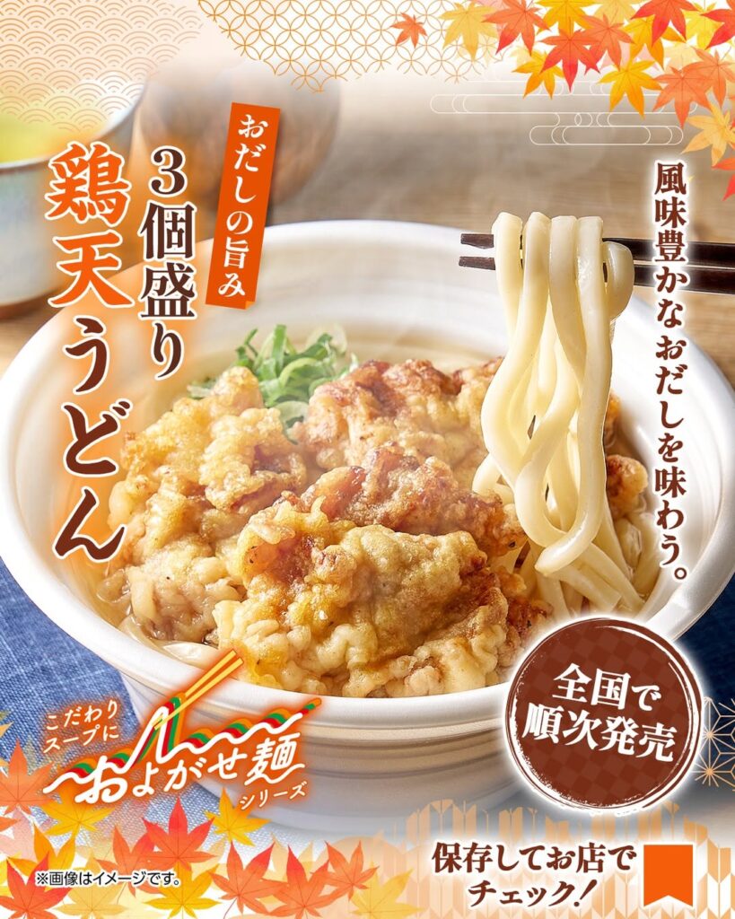 おだしの旨み 3個盛り鶏天うどん