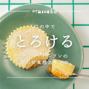 とろ生食感チーズケーキ セブン-イレブン