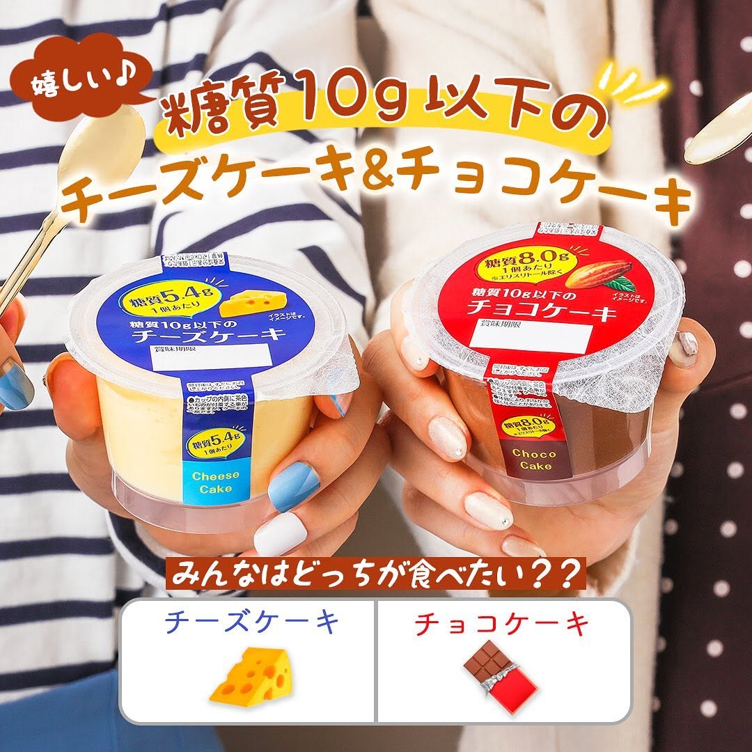 糖質10g以下のチーズケーキとチョコケーキ