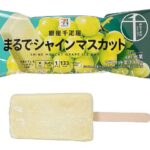 7プレミアム銀座千疋屋まるでシャインマスカット